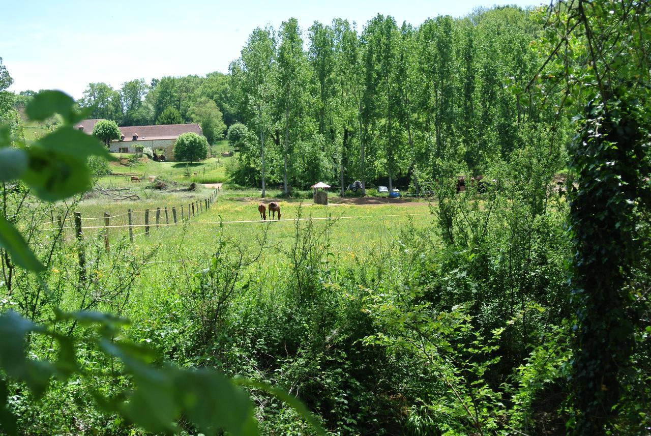 Le Vigan  Le Moulin De Planiol B&B 외부 사진