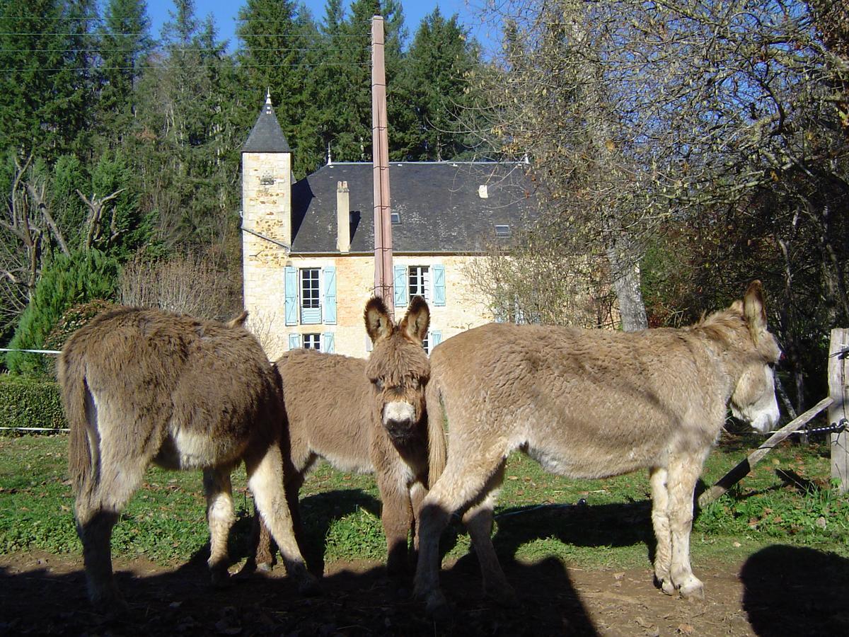 Le Vigan  Le Moulin De Planiol B&B 외부 사진